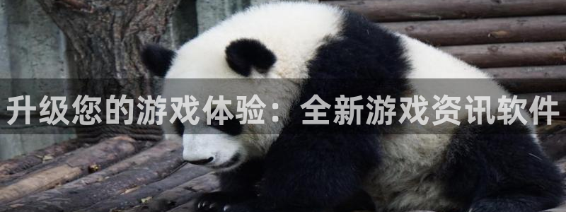 蓝冠娱乐4招商：升级您的游戏体验：全新游戏资讯软件