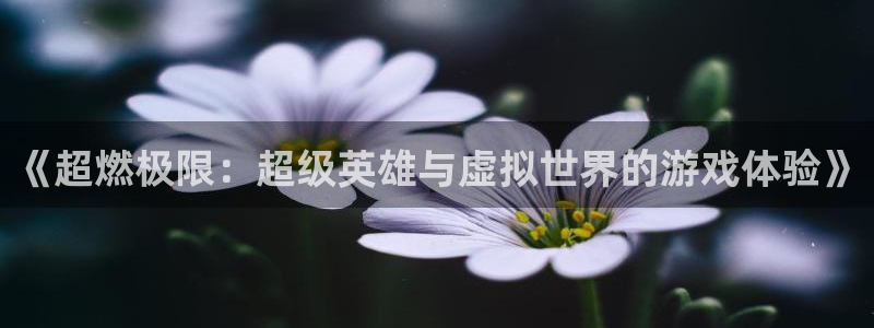 蓝冠娱乐平台注册：《超燃极限：超级英雄与虚拟世界的游戏体验》