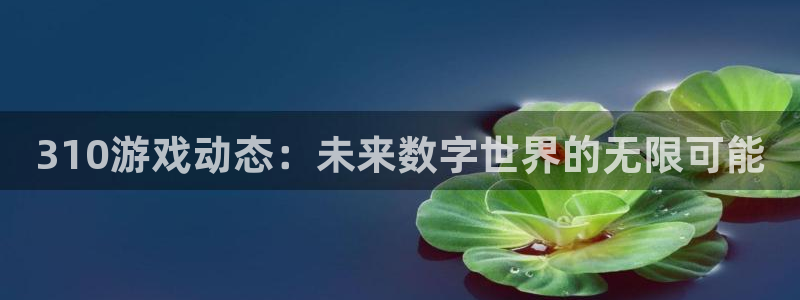 蓝冠娱乐注册登录：310游戏动态：未来数字世界的无限可能