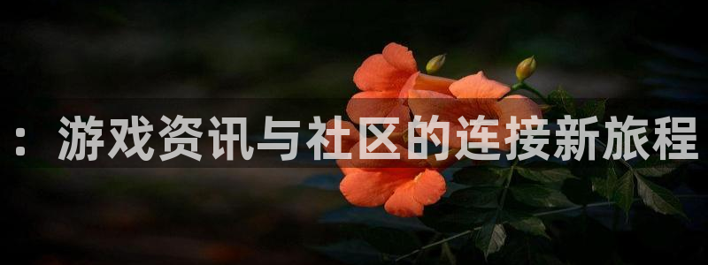 蓝冠科技电子有限公司招聘