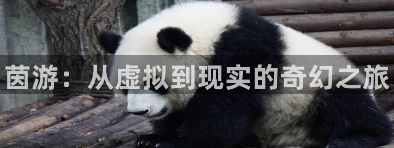 蓝冠在线平台真的可以躺赚吗