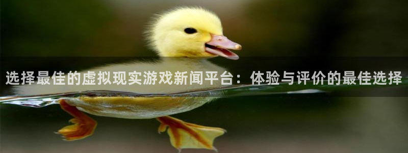 蓝冠在线官网：选择最佳的虚拟现实游戏新闻平台：体验与评价的最