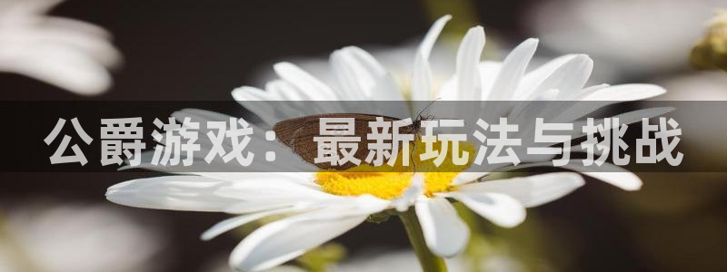 蓝冠怎么样：公爵游戏：最新玩法与挑战