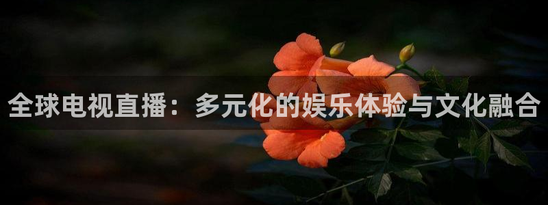 极速直播nba体育直播：全球电视直播：多元化的娱乐体验与文化融合